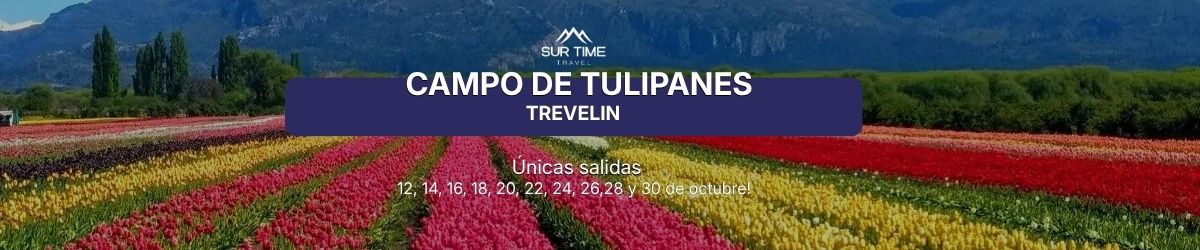 Campo de Tulipanes Trevelin — Preventa octubre 2026